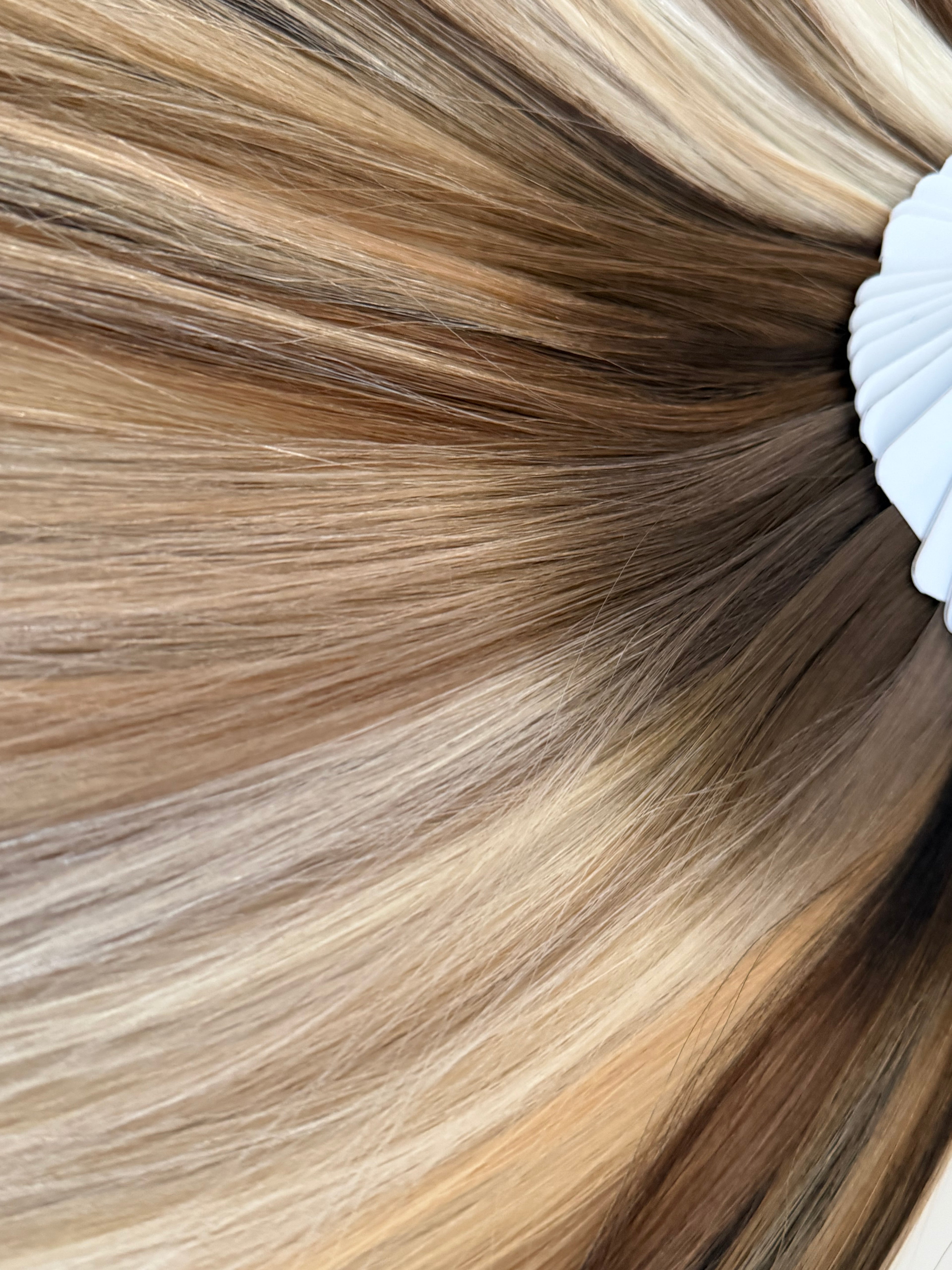 THE PERFECT BLEND PRO COLLECTION