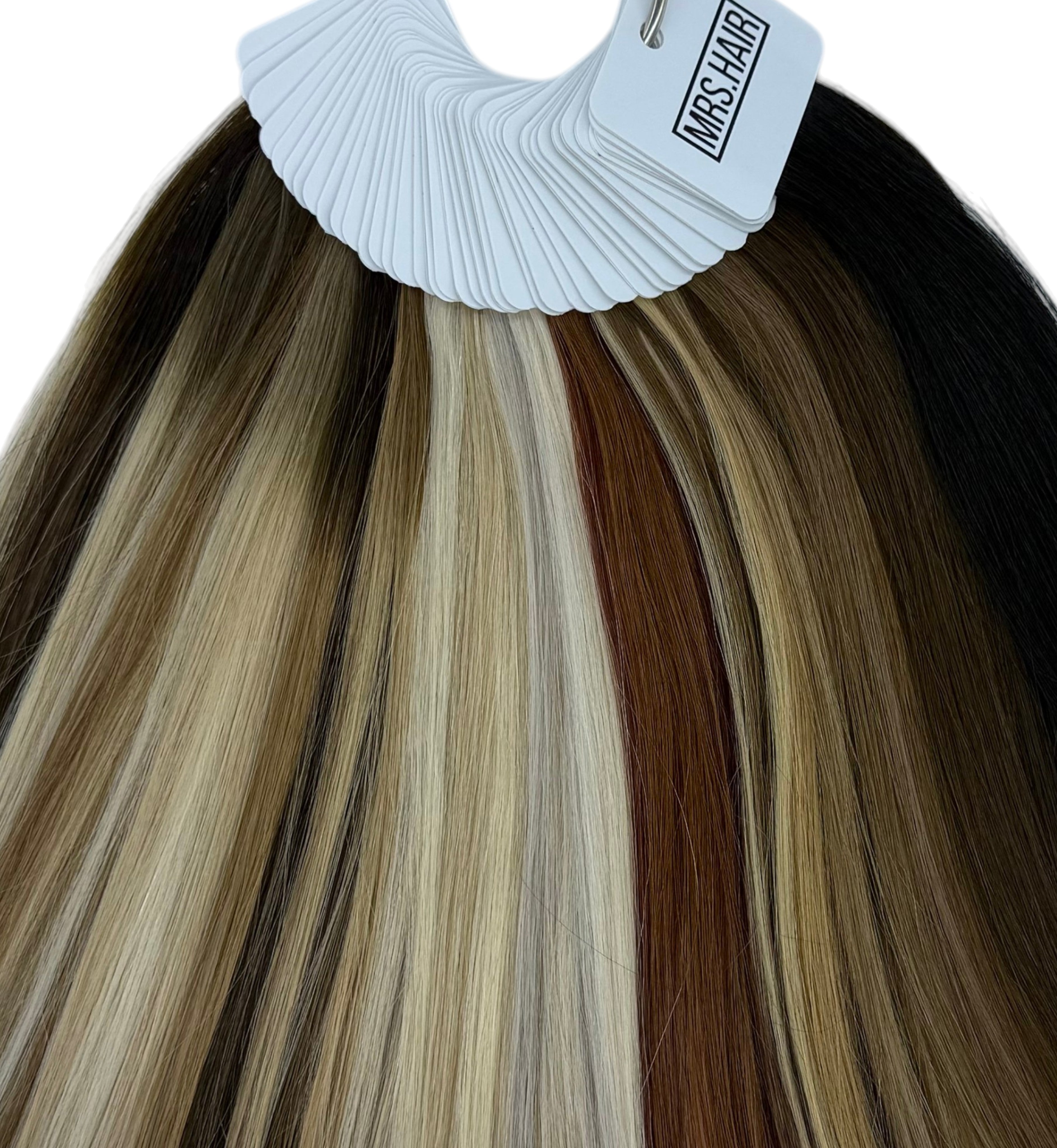 THE PERFECT BLEND PRO COLLECTION